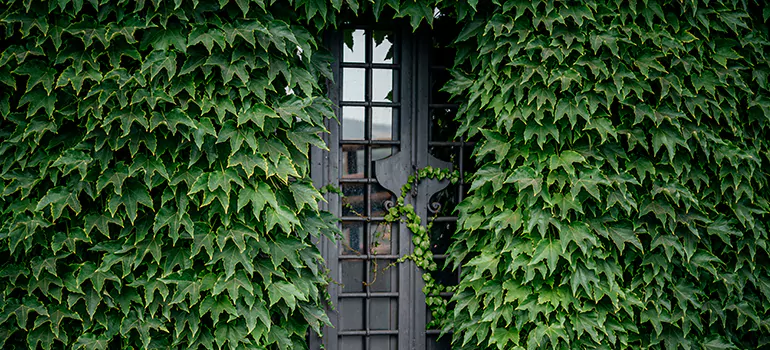 Garden Gate Repair in Lauderdale Lakes, FL