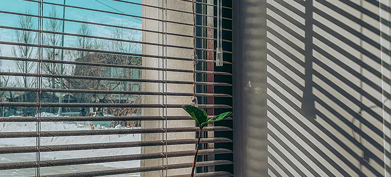 Commercial Window Blinds in Lauderdale Lakes, FL