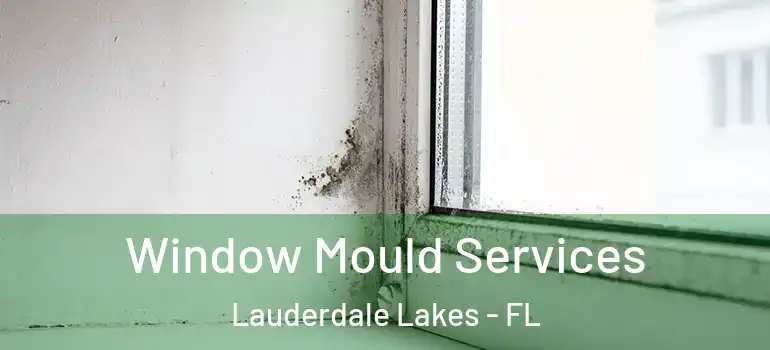  Window Mould Services Lauderdale Lakes - FL